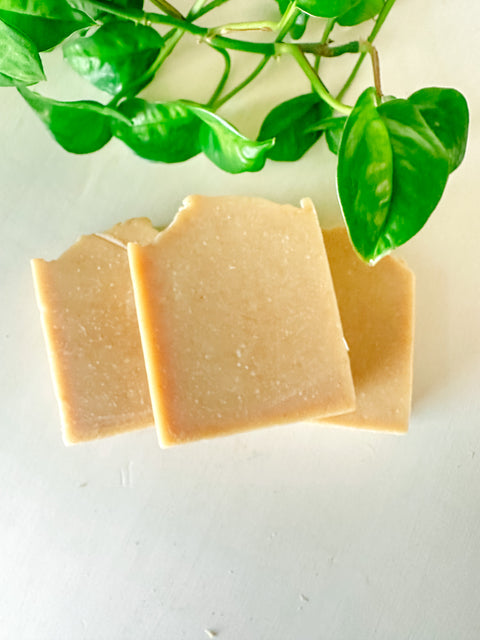 Turmeric & Honey (Unscented)