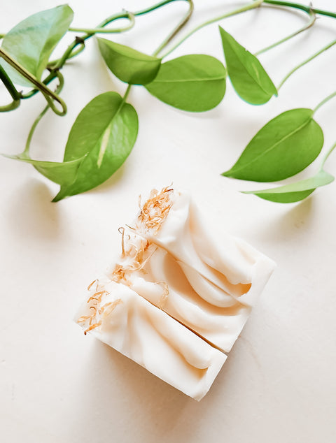 Aloe Soap