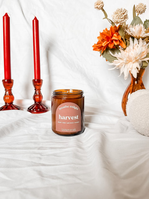 Harvest - Ginger & Palo Santo