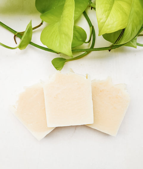 Calendula & Shea Soap (Unscented)